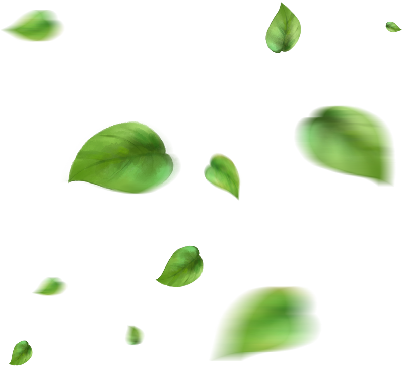 Leaf Decoration